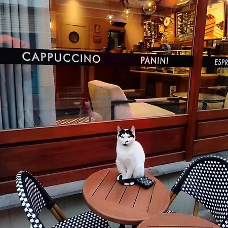 アパート Pink 5 イスタンブール